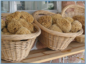 Sea Wool Natural Sponge