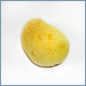 silk sponge